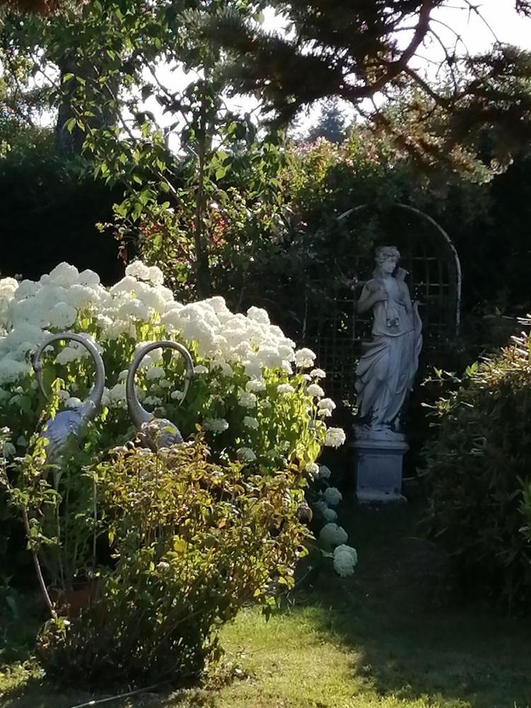 Le Frêne Fringant