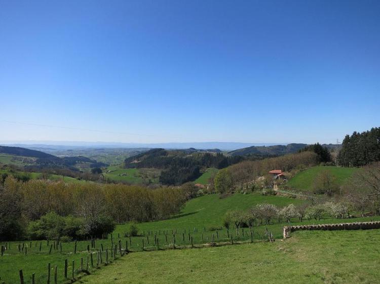 Ferme Des Entremains