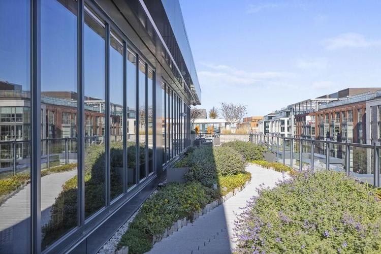 Coda On Half A Placemakr Experience